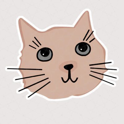 عکس خفن عکس گربه خنده دار برای استیکر