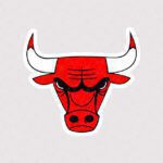 استیکر لوگو Chicago Bulls بدون متن