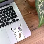 استیکر کتک میقولی