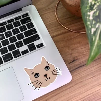 عکس خفن عکس گربه خنده دار برای استیکر