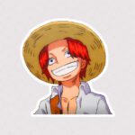 استیکر چهره خندان شنکس