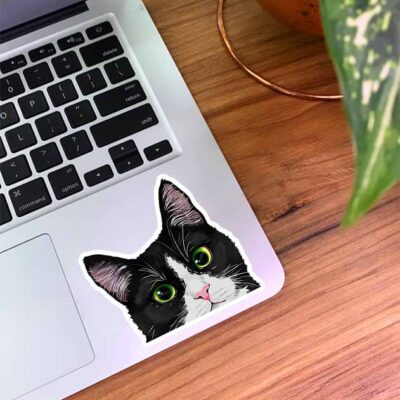 استیکر گربه چشم سبز