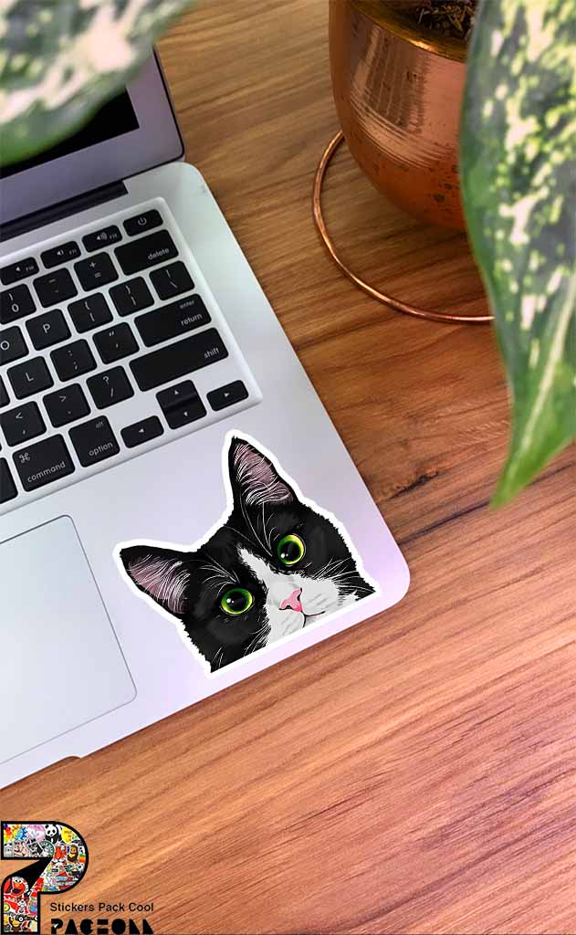 استیکر گربه چشم سبز