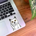 استیکر گربه سفید طرح فاک