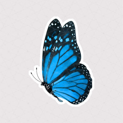 استیکر پروانه زیبا به رنگ آبی