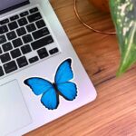 استیکر پروانه با بال های باز