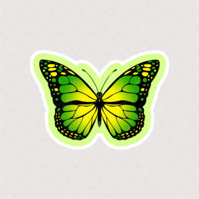 استیکر پروانه به رنگ سبز روشن