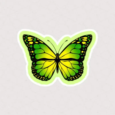 استیکر پروانه به رنگ سبز روشن