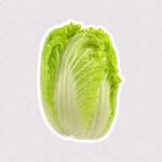 استیکر کاهو