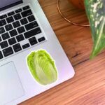 استیکر وکتور کاهو