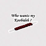 استیکر کی کوبیده منو میخواد؟ Who Wants My Koobideh