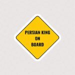 استیکر متن Persian King On Board