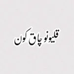 استیکر قلیونو چاق کون