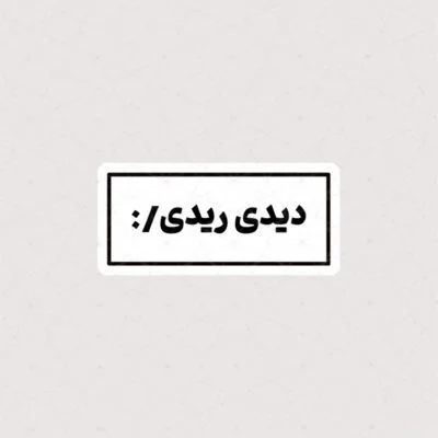 استیکر دیدی ریدی :/