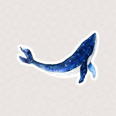 استیکر نقاشی نهنگ آبی