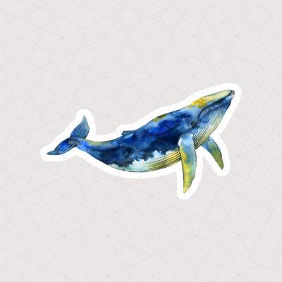 استیکر نقاشی آبرنگ از یک نهنگ آبی