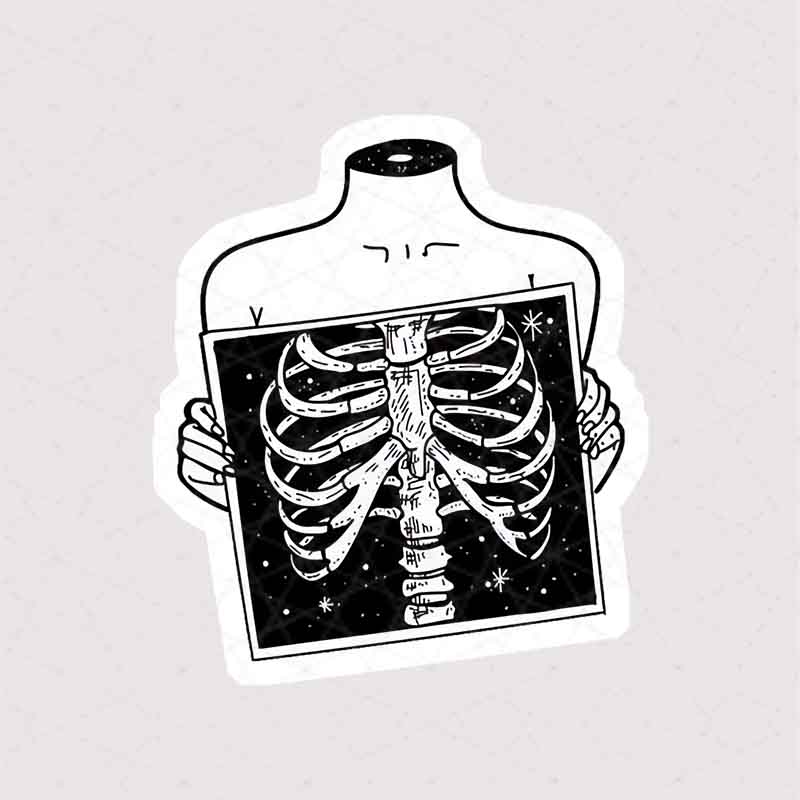 8628 Asli Sticker Skeleton استیکر اسکلت با عکس رادیوگرافی