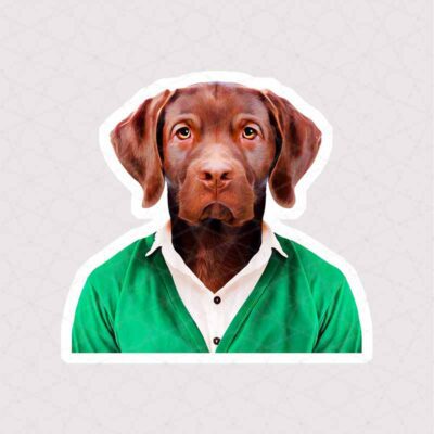 استیکر سگ نژاد لابرادور با ظاهری کلاسیک با ژاکت سبز